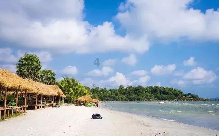 省政协委员黄玉蛟：做优网络经济 做强实体经济
